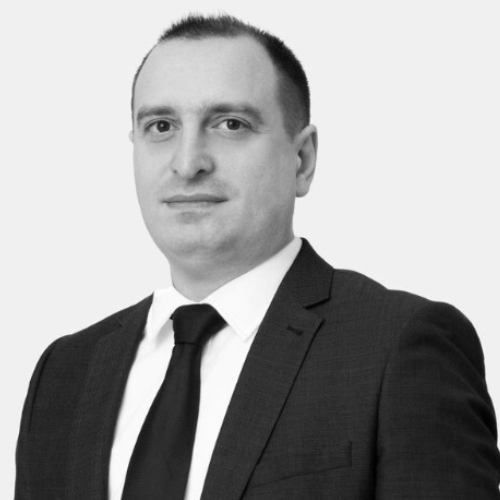 გიორგი ბრეგაძე<br/><br/>პროფესორი